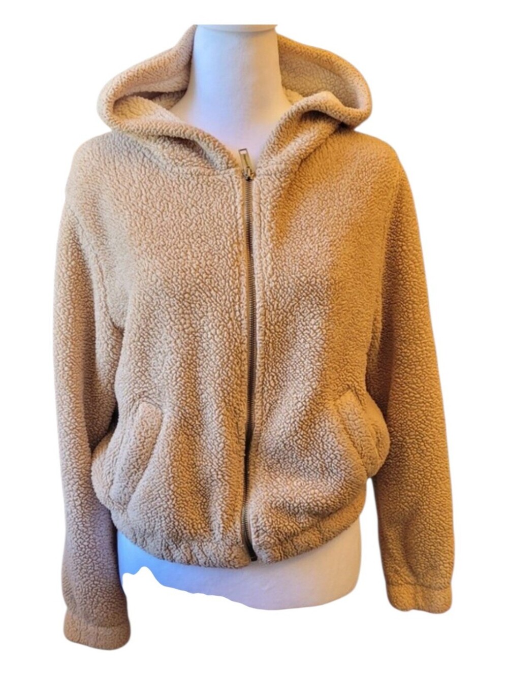 Plush Hooded Teddy Jacket in Light Beige